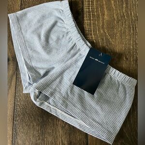 Blue Stripped Brandy Melville Shorts